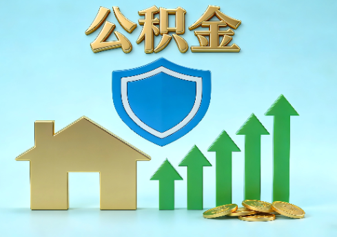 舒兰当前住房公积金提取条件分类指南与政策趋势