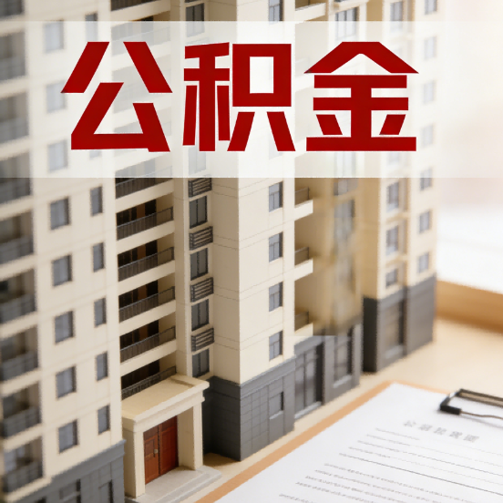 舒兰公积金代办行业新生态:从“跑腿中介”到“生活管家”的进化之路